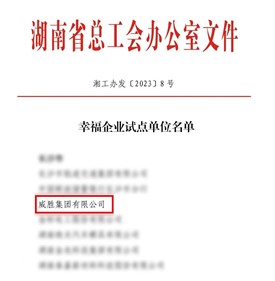 幸福威勝|(zhì)威勝榮獲“湖南省幸福企業(yè)試點(diǎn)單位”