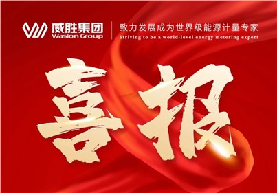 排名第一！威勝集團(tuán)2024年中標(biāo)國(guó)網(wǎng)總部集中招標(biāo)采購(gòu)項(xiàng)目總金額達(dá)5.97億元！