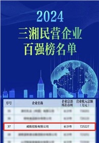 喜訊｜威勝控股上榜2024三湘民營(yíng)企業(yè)百?gòu)?qiáng)榜單，排名第37位